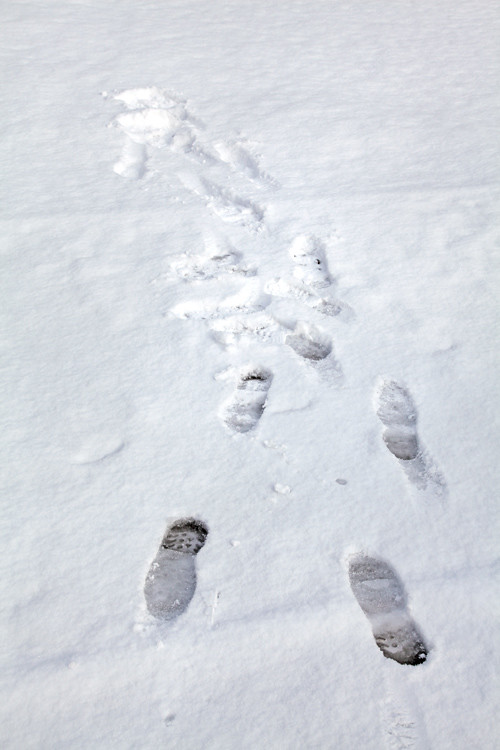footprints in the snow, Kasaan, Alaska
