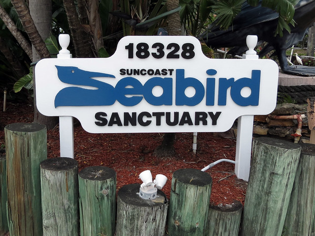 Suncoast Seabird Sanctuary