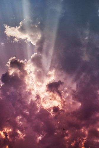 無料写真素材|自然風景|空|雲|朝焼け・夕焼け|薄明光線