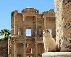 Türkei, Ephesus, Pergamon, Priene, Didim