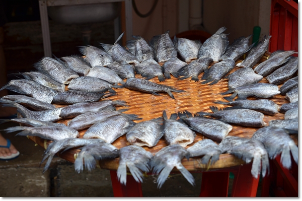 Drying Salted Fish