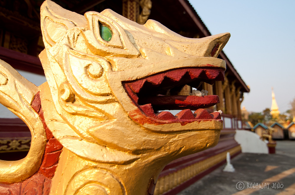 Dragon at the temple in Luang Prabang Laos