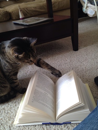 He's quite the reader.