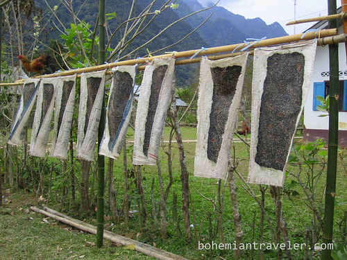 river weed drying