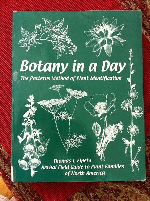 Botany in a Day