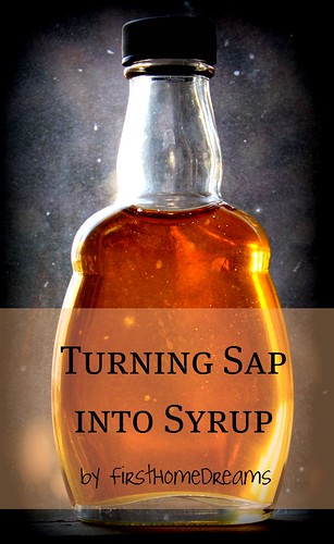 Turning Sap into Maple Syrup