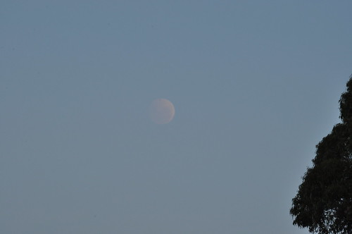 Lunar Eclipse 15th April 2014 taken from Olinda Golf Course