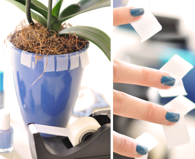 blue potted plant-taped nails triangle diy