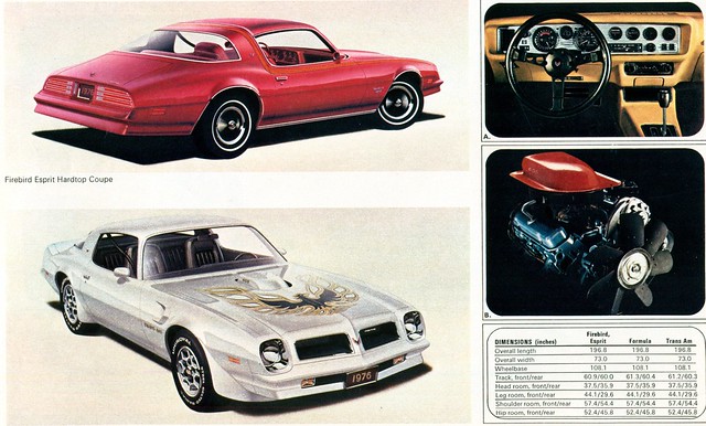 1976 Pontiac Firebird Espirit and Trans Am