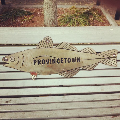 Provincetown fish