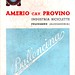 Amerio 1948