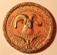 New York Zoological Society medal obverse