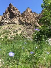 May 25, 2016 b (Rock Canyon, Provo, Utah)
