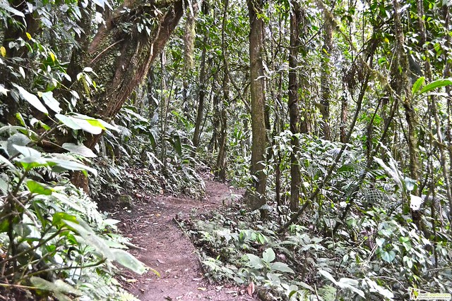 Hiking in Costa Rica Trails