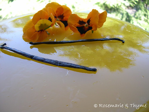 DSCN9442 - torta mousse ai tropicali e yogurt knam_primo piano-blog