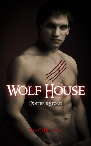 Wolf House by carlesbarrios