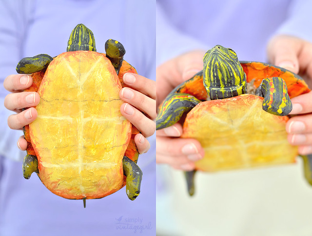 Handmade Turtle