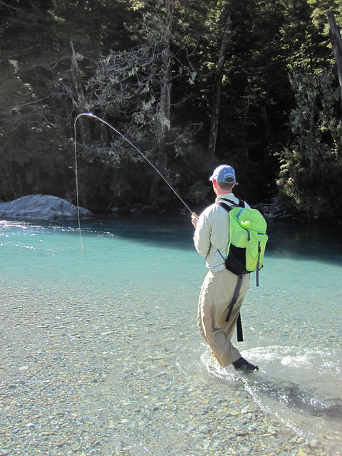 pools for trout in new zealand