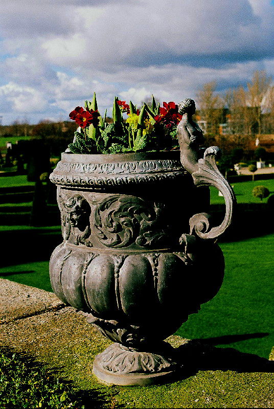 Flower Pot at Imma, High Saturation