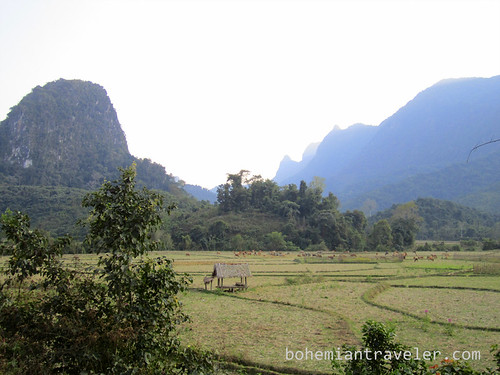 fields near Muang Ngoi