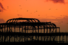 Brighton Pier and Starlings at Sunset