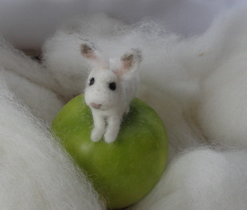 Tiny baby snowshoe hare