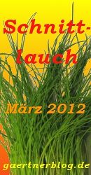 Garten-Koch-Event März 2012: Schnittlauch [31.03.2012]