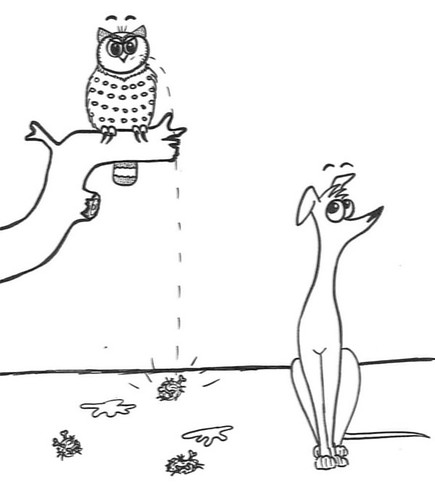 Comic-Whippet-meets-Owl