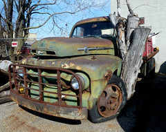 Tree Enbeded Into Old Rusty Ford Flatbed