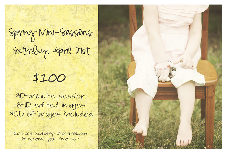 spring mini sessions web