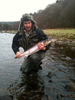First salmon of 2012