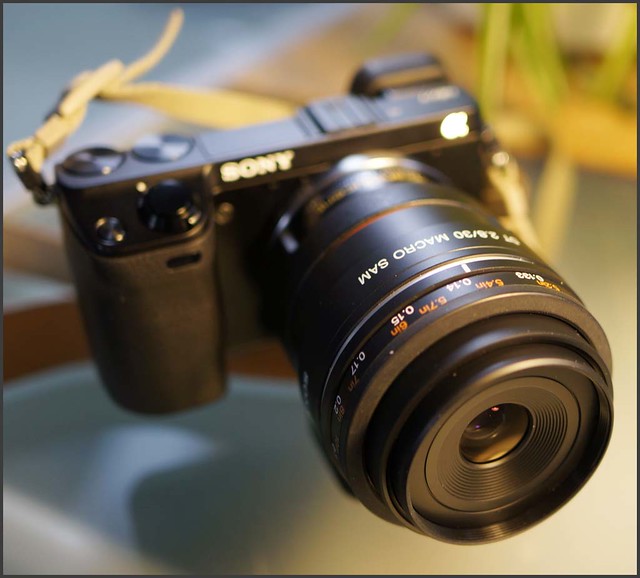 Sony NEX-7 a-mount 30mm f/2.8 macro lens LA-EA2 mirrored adapter.