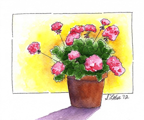 Pink Geraniums, ink and watercolor
