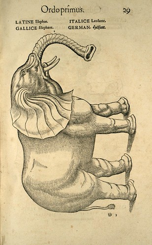 003-Elefante-Icones animalium- (1553)- Conrad  Gesner- SICD Strasbourg