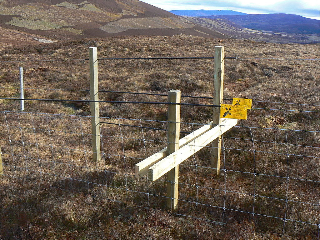Electric Fence Crossing