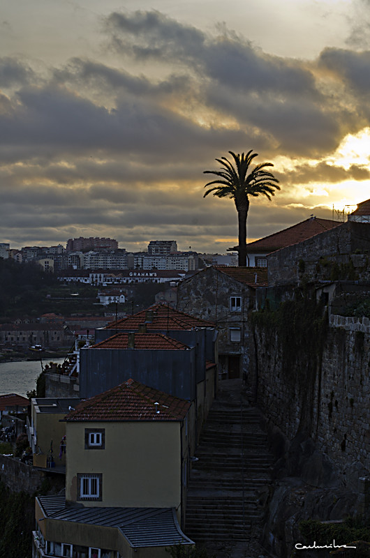 Porto'12 0959