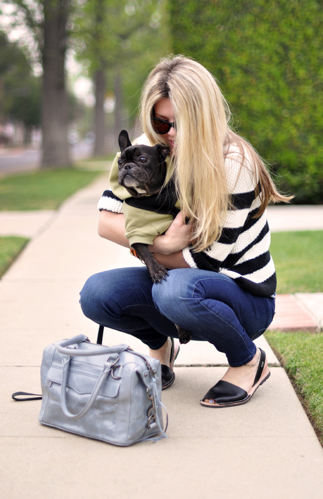 French bulldog-rebecca minkoff bag-striped sweater-avarcas