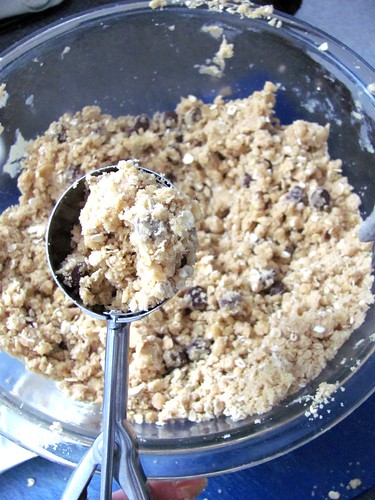 Looneyspoon Cookies for Rookies: Peanut-butter, oatmeal and chocolate-chip cookies
