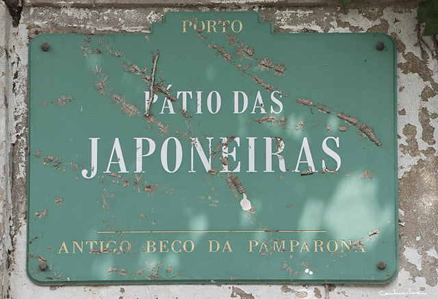 Porto'10 0978
