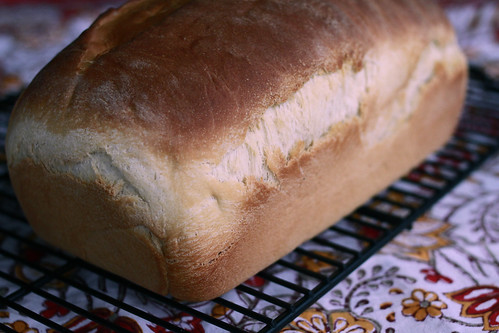 American Sandwich Bread-1