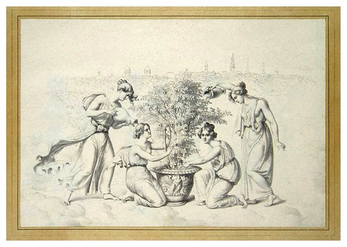 008-Cuidando la Rosa-Album Description of the 'Magic of the White Rose' Festival…1829- Gropius Bros. Publishers, Berlin-Hermitage Museum