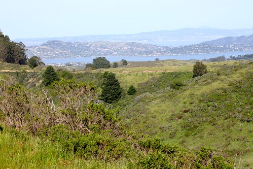 A view from the hills outside San Francisco
