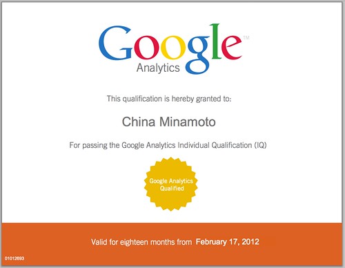Google Analytics qualified
