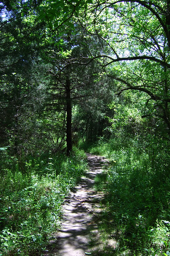 Picture of the Sac River Trail in summer
