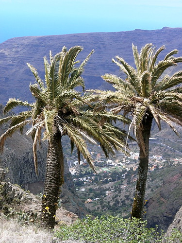 Barranco de las Lagunetas, La Gomera, Canary Islands