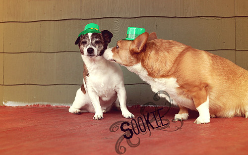 He was pretending to be Irish, so I kissed him! by Make Way For Cupcakes