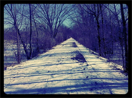 Old Plank Road Trail