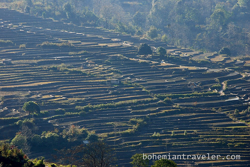 Yuanyang Rice Terraces around Xinjie China 6