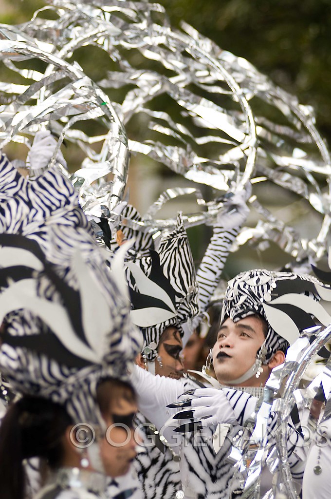 Caracol 2012 - Zebras in the Breeze