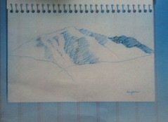 Accidental Inspiration for Colorado Drawing (Aspen) by randubnick